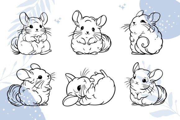 Chinchilla SVG, Clipart: Crafts & Graphics for Local Branding